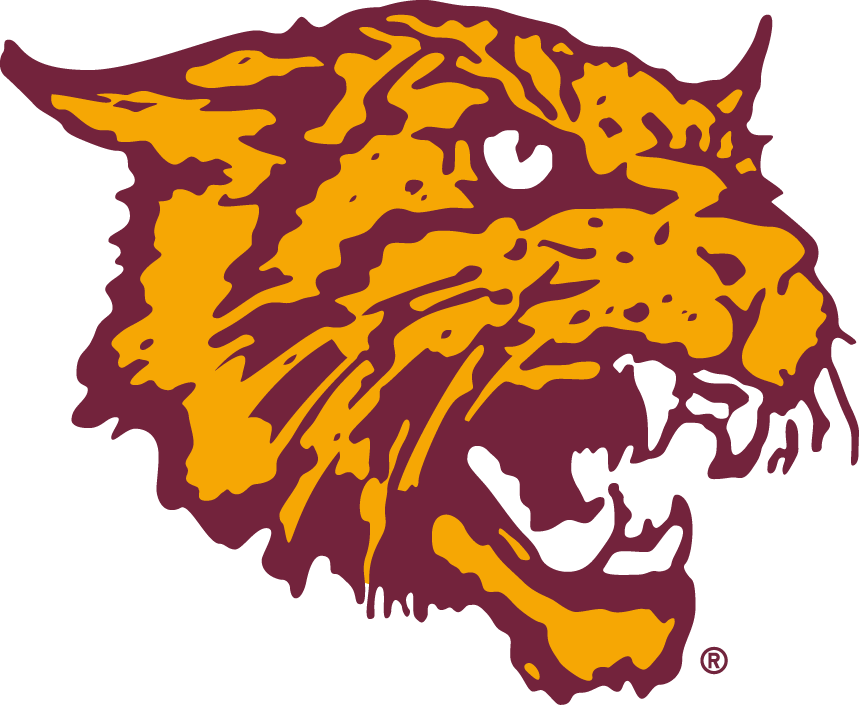 Bethune-Cookman Wildcats 2000-2015 Alternate Logo v3 diy DTF decal sticker